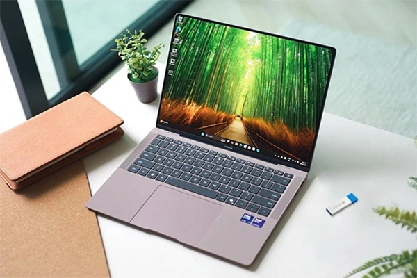 Чистка ноутбуков Пинск - переустановка Windows