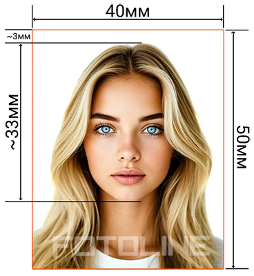 Схема требований к фотографии 40x50 мм