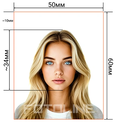 Схема требований к фотографии 5x6 см для визы в Турцию с высотой головы 34 мм на глянцевой бумаге