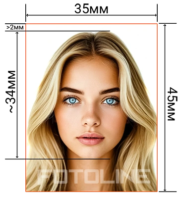 Схема требований к фотографии 35x45 мм